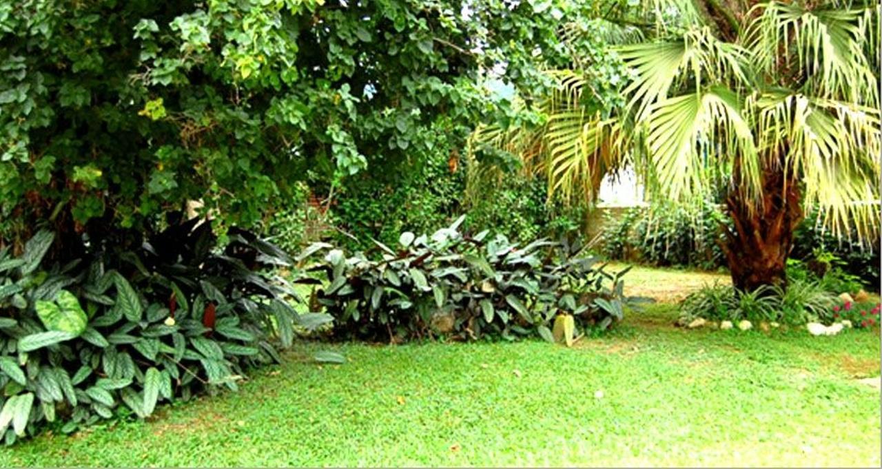 Hotel Primavera Penedo  Εξωτερικό φωτογραφία